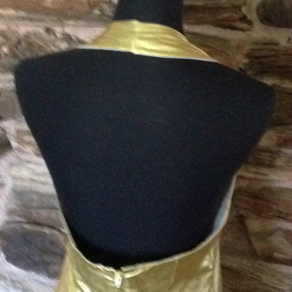 Gold Lame - Picture 4 of 9